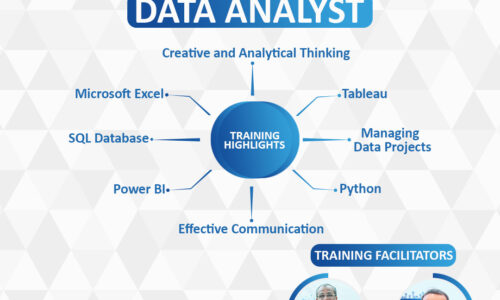 Data Analyst – Cohort VIII